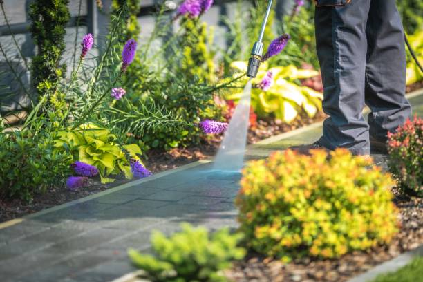 Best Building Exterior Pressure Washing in Washington Mills, NY