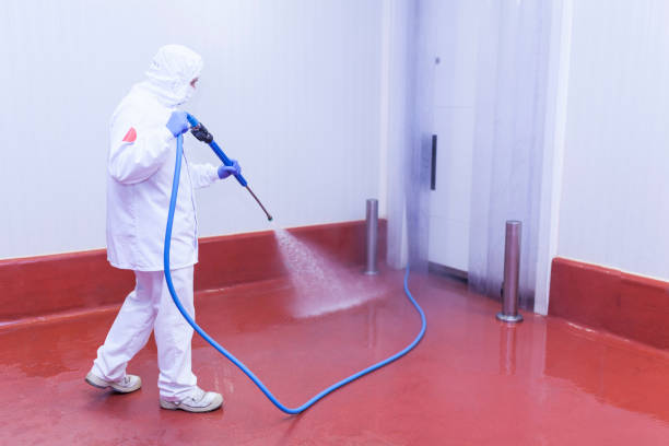 Best Window and Screen Pressure Cleaning in Washington Mills, NY